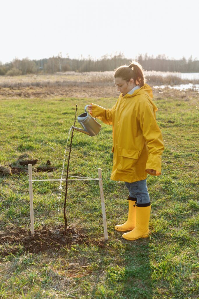 pexels-photo-7656722-7656722 A young girl wearing a yellow raincoat waters a tree under the sun in a grassy field.